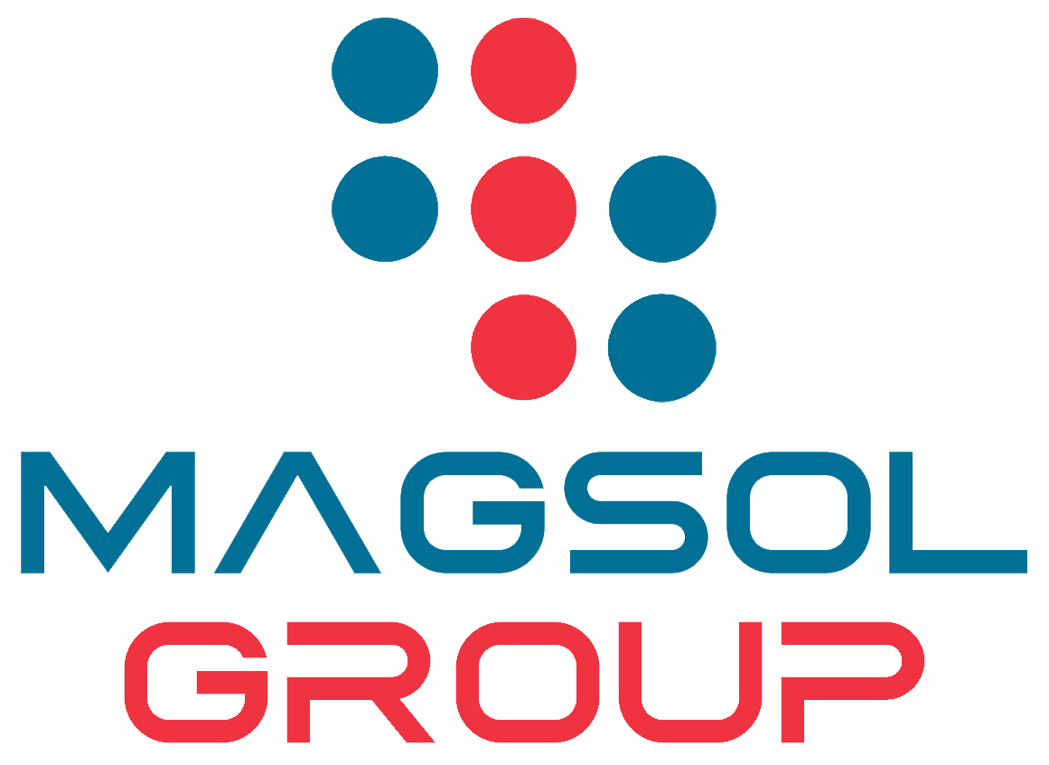 MAGSOL IT